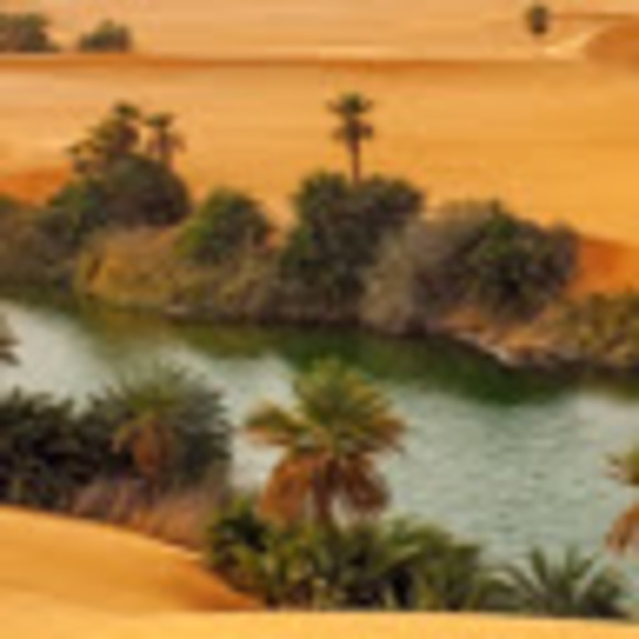 Meet your Posher, Ylva - Picture 1 of 1